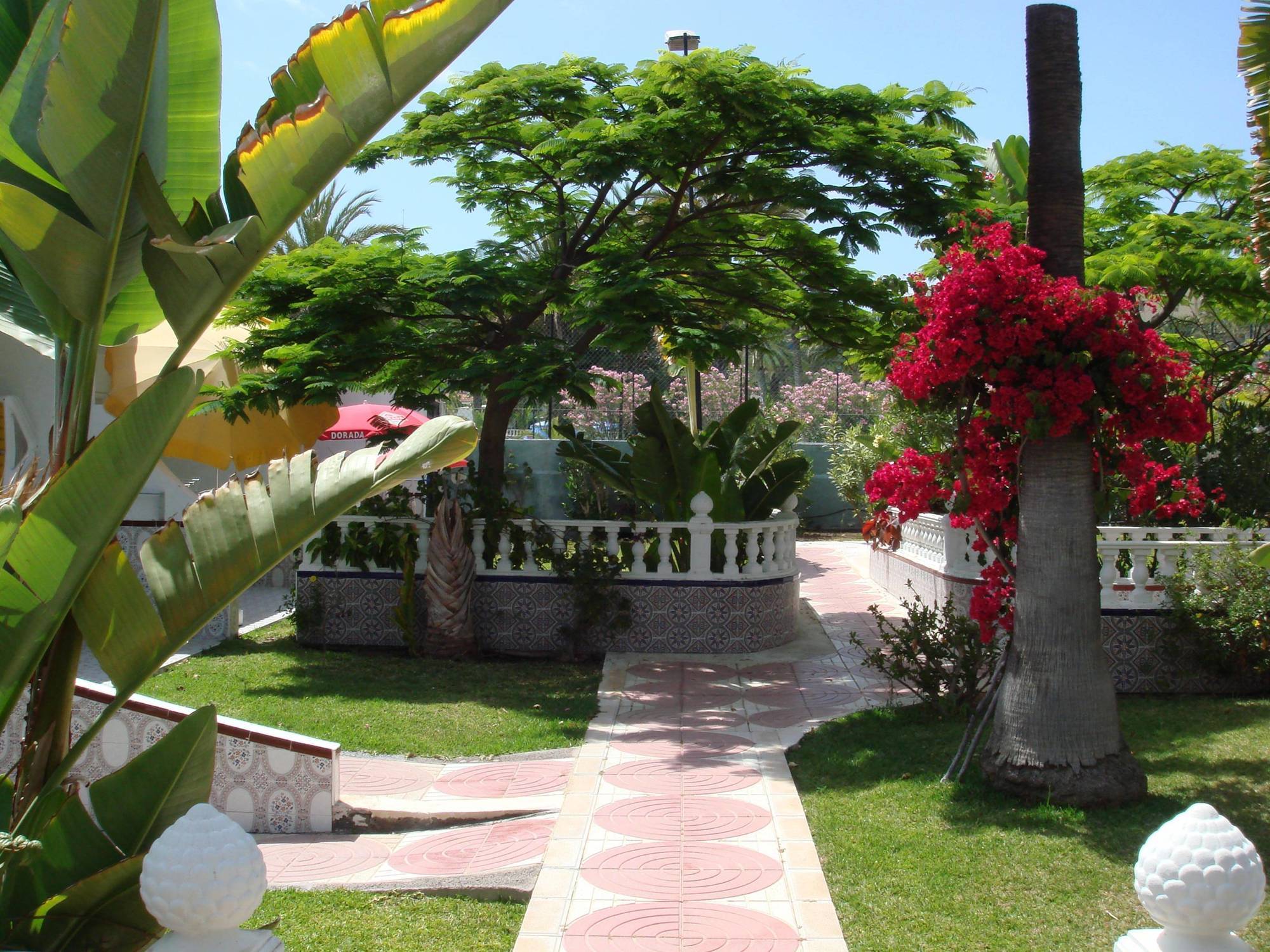 San Valentin & Terraflor Park Hotell Playa del Inglés Exteriör bild